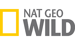 Лого на Nat Geo Wild