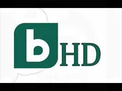 Официално лого на bTV HD
